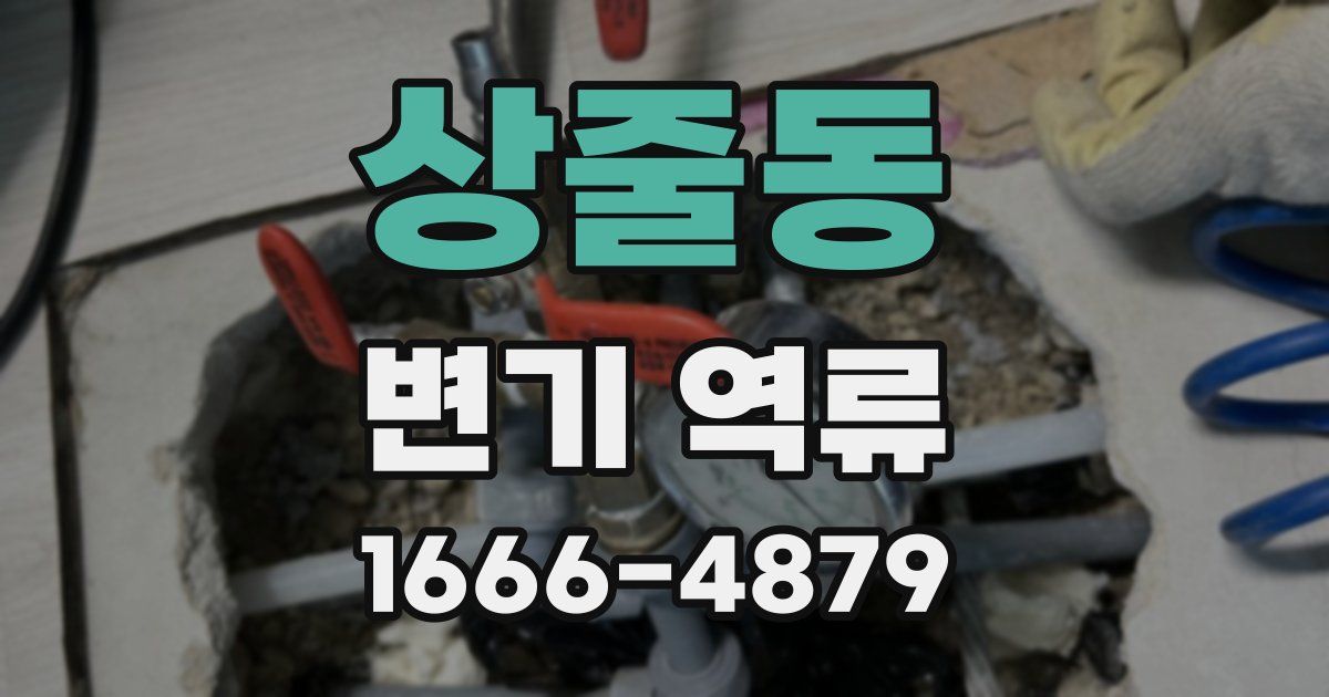 상줄동 변기 역류