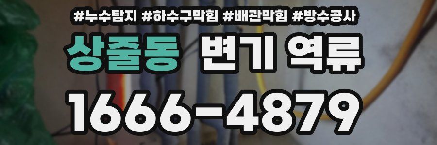 상줄동 변기 역류