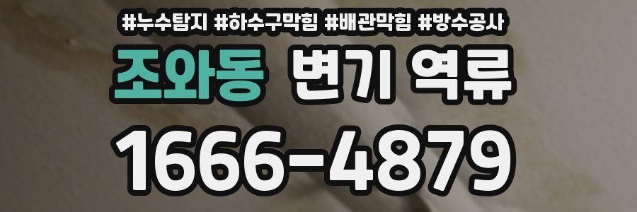 조와동 변기 역류