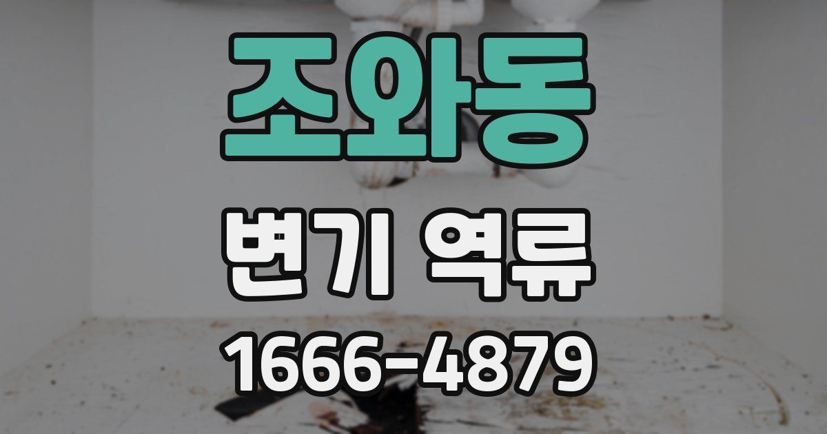 조와동 변기 역류
