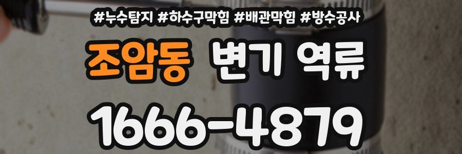 조암동 변기 역류