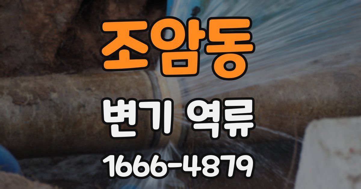 조암동 변기 역류