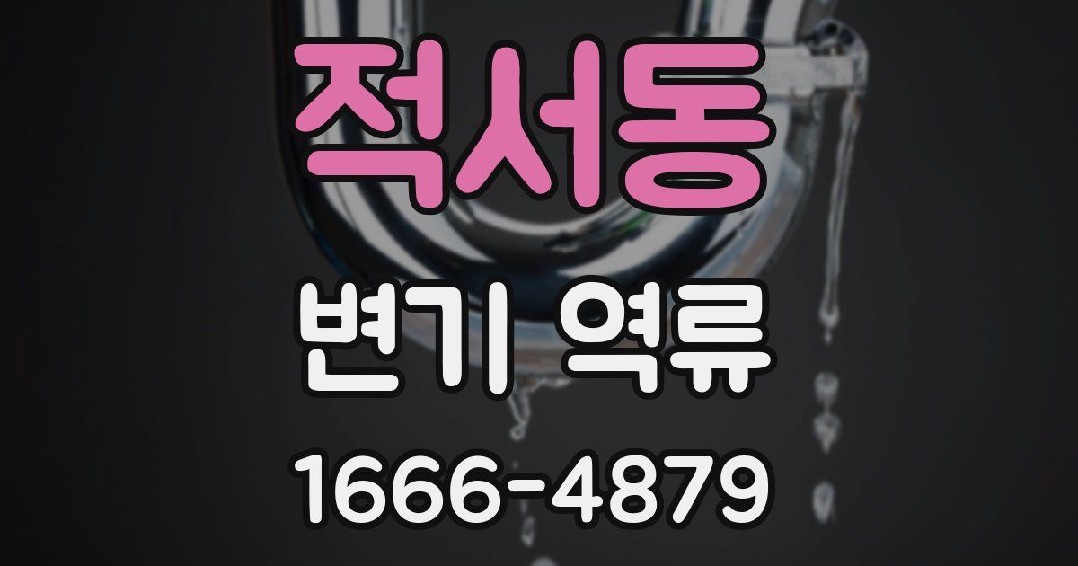 적서동 변기 역류