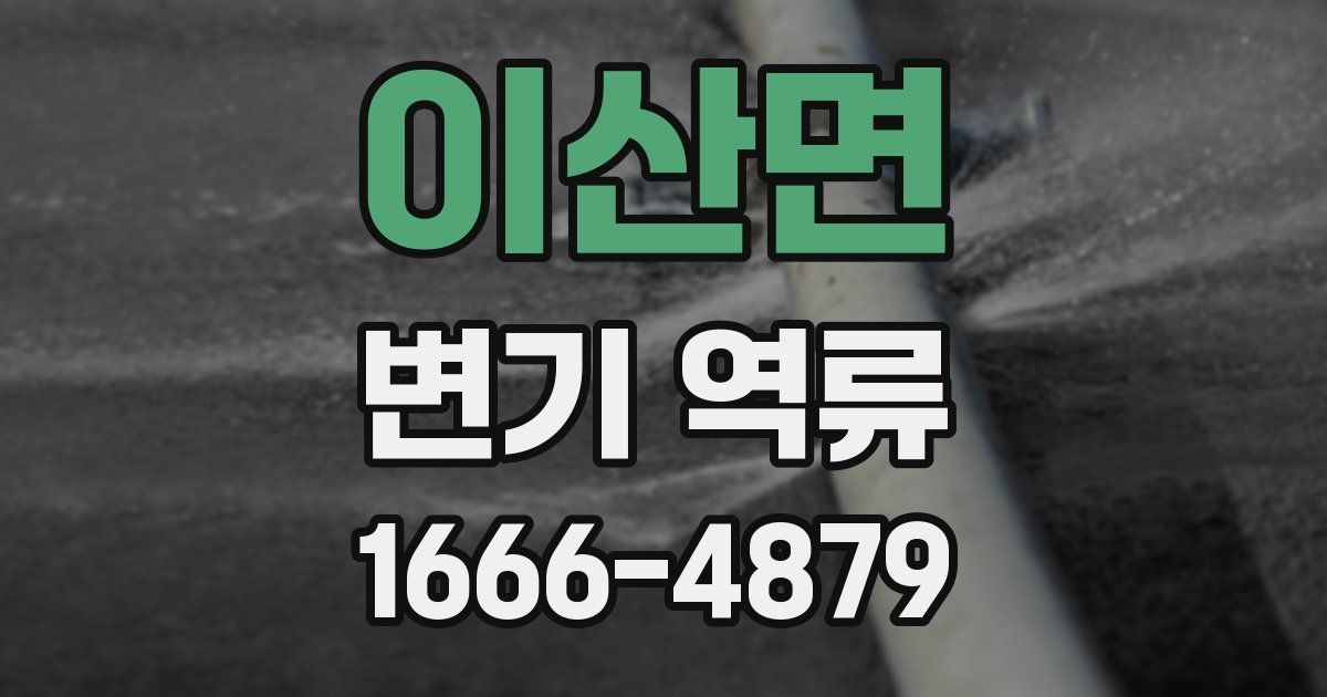 이산면 변기 역류
