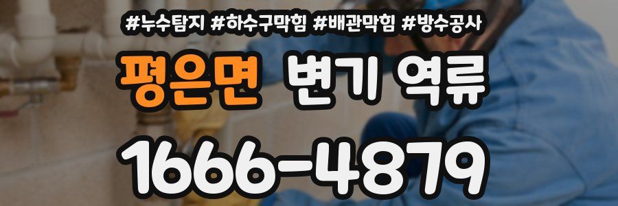 평은면 변기 역류