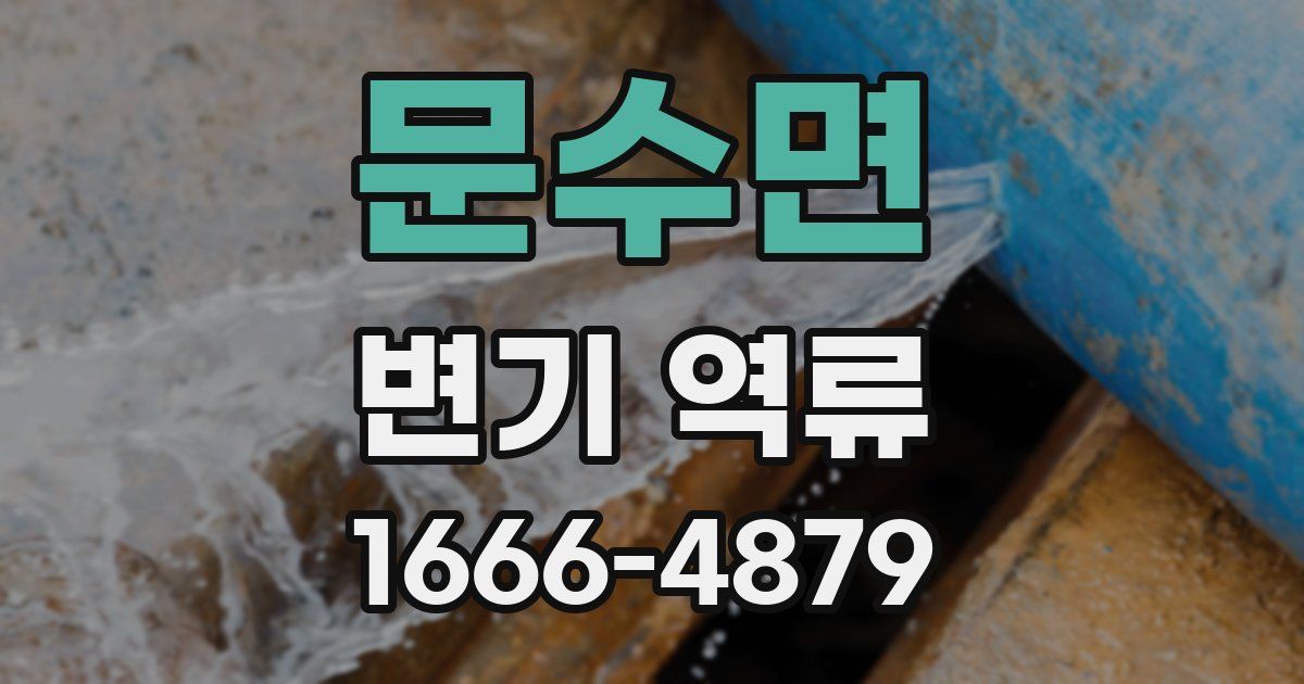 문수면 변기 역류