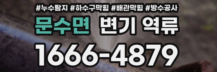 문수면 변기 역류