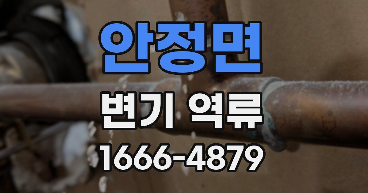 안정면 변기 역류