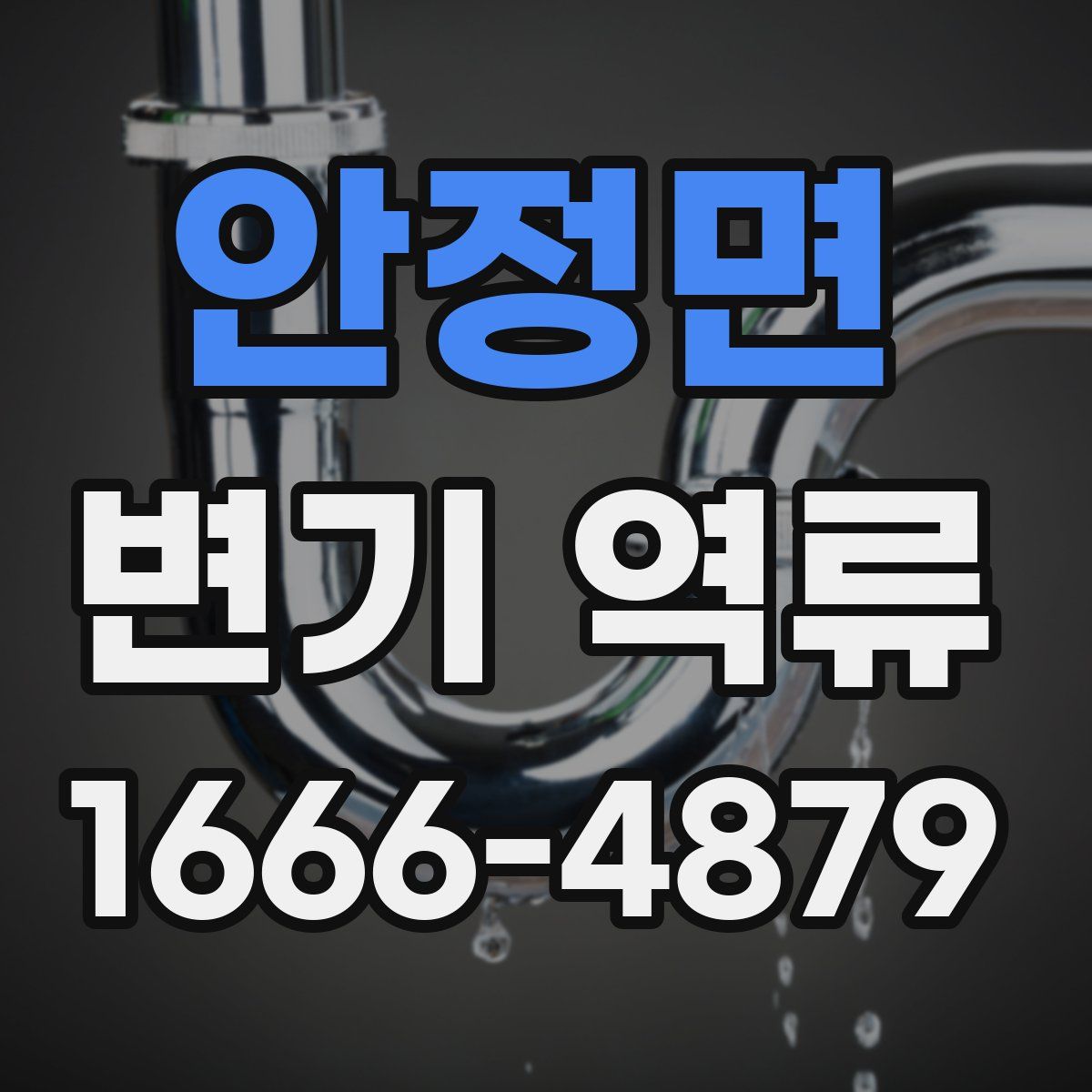 안정면 변기 역류