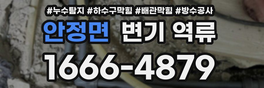 안정면 변기 역류
