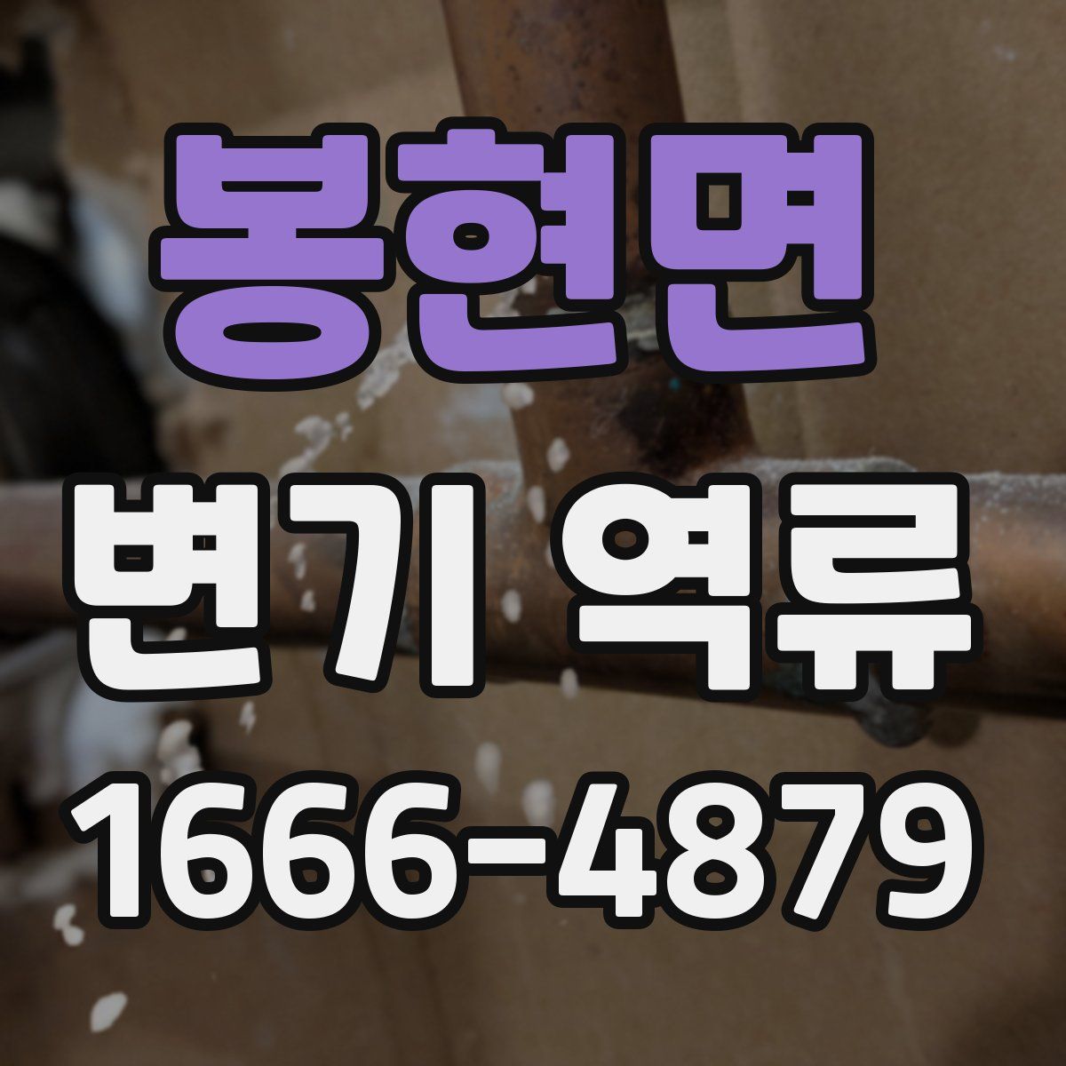 봉현면 변기 역류