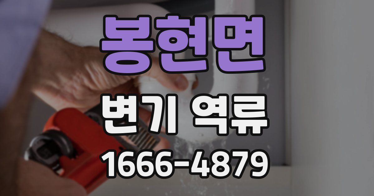 봉현면 변기 역류