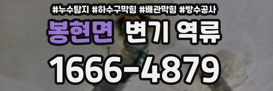 봉현면 변기 역류