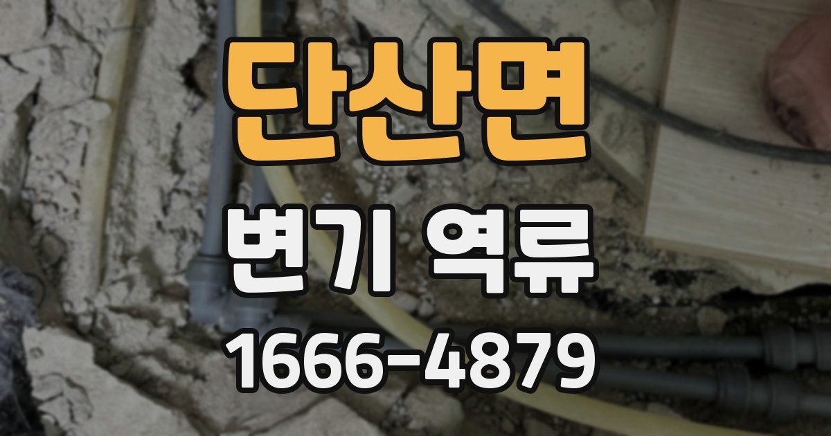 단산면 변기 역류