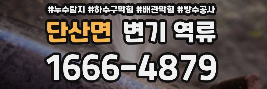 단산면 변기 역류