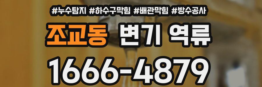 조교동 변기 역류