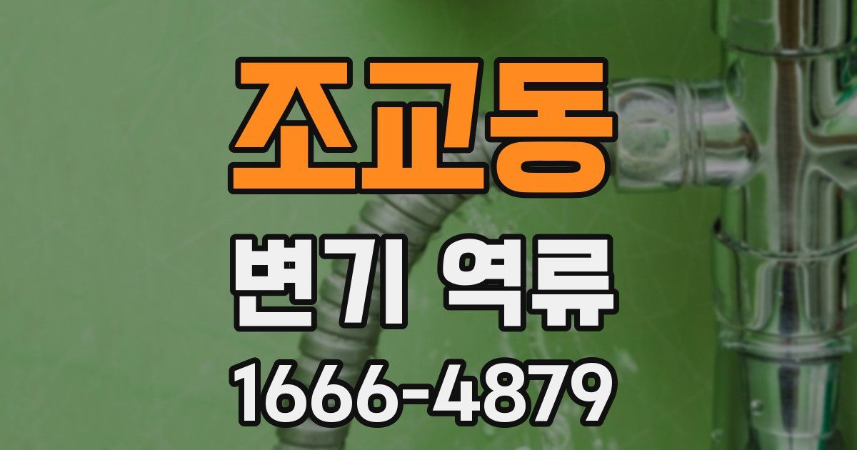 조교동 변기 역류