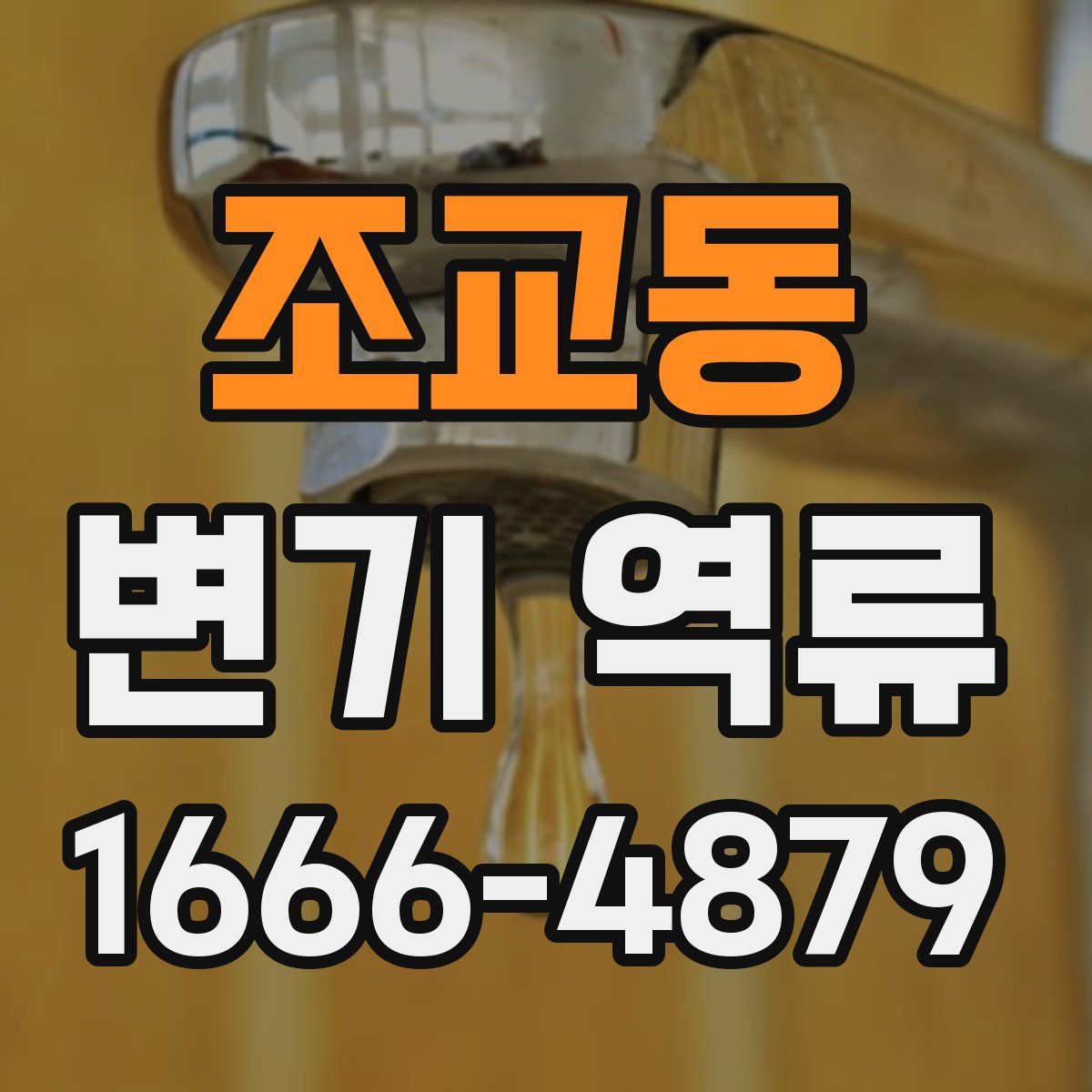 조교동 변기 역류