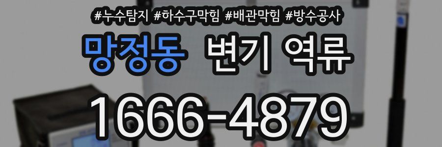 망정동 변기 역류
