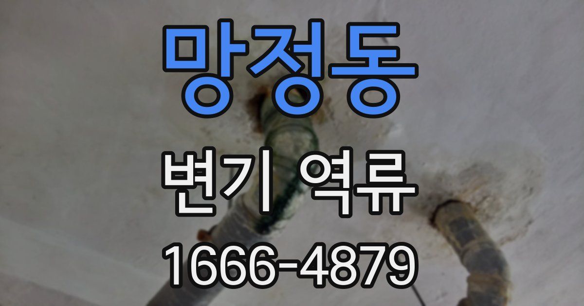 망정동 변기 역류