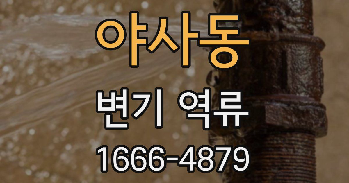 야사동 변기 역류