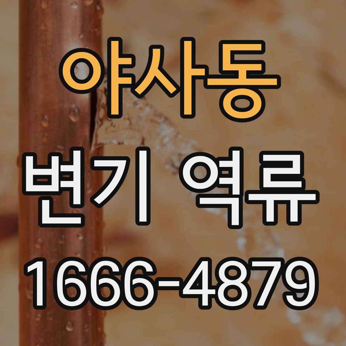 야사동 변기 역류