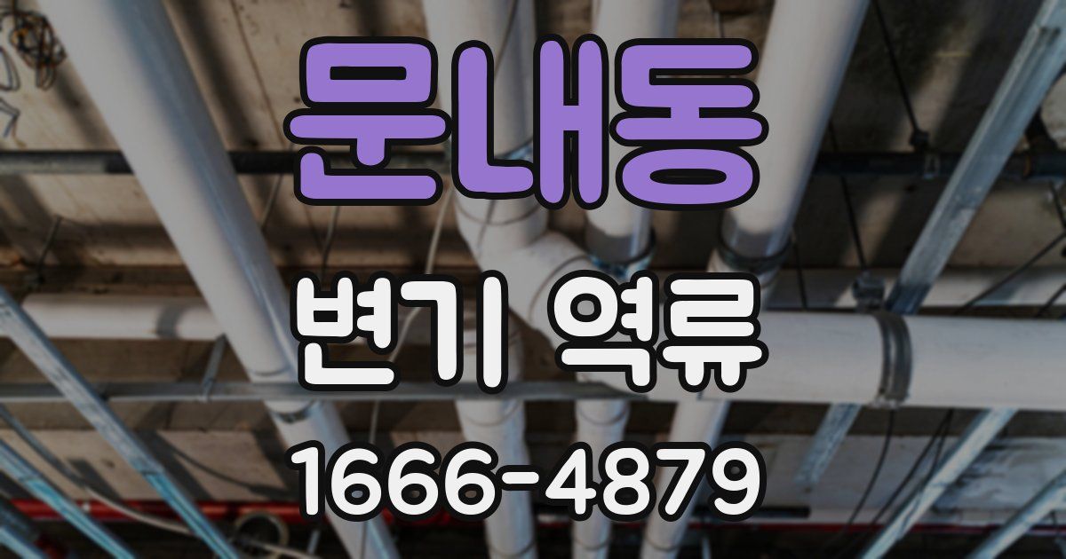 문내동 변기 역류