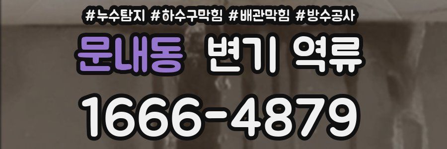 문내동 변기 역류