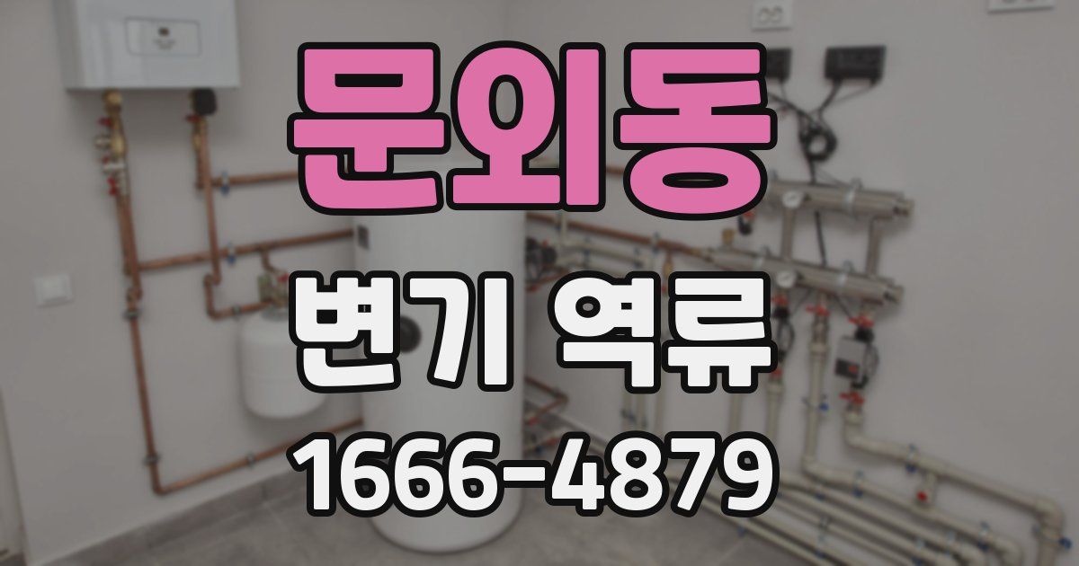 문외동 변기 역류