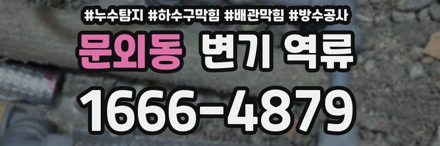 문외동 변기 역류