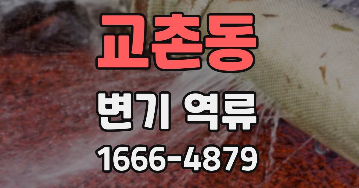 교촌동 변기 역류