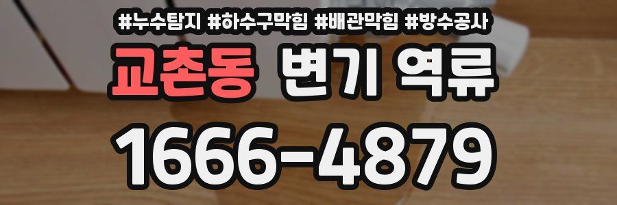 교촌동 변기 역류