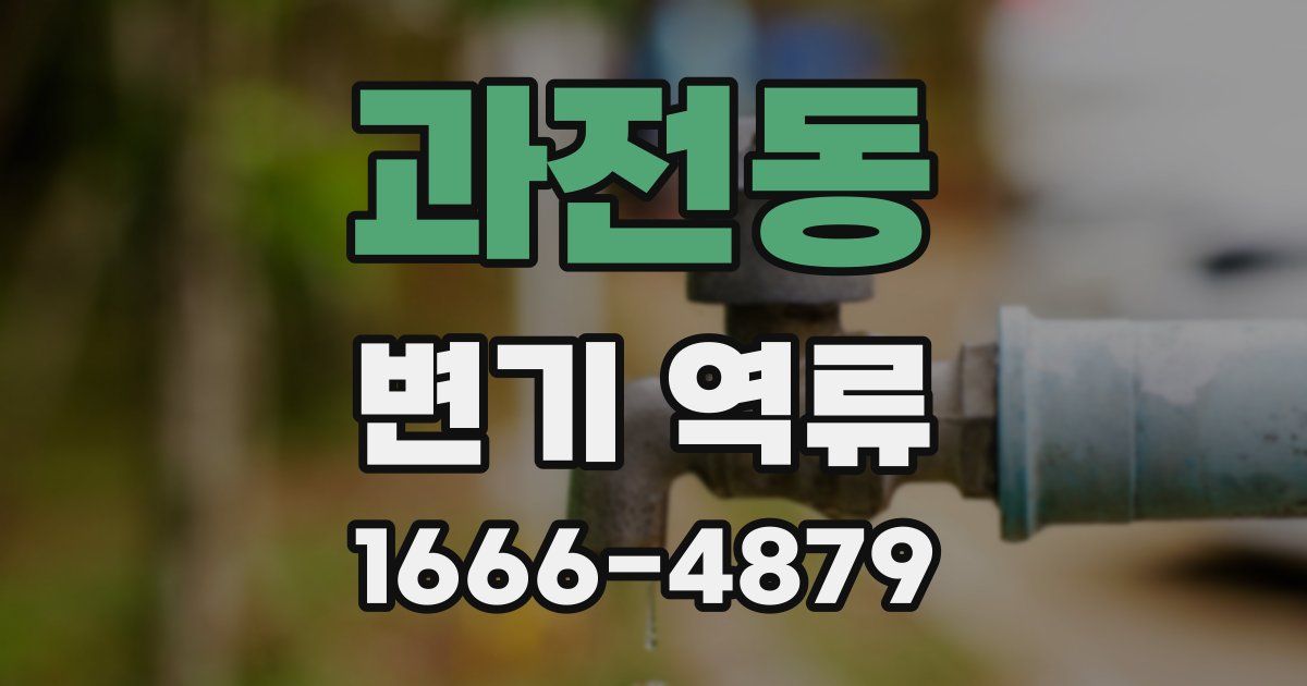 과전동 변기 역류