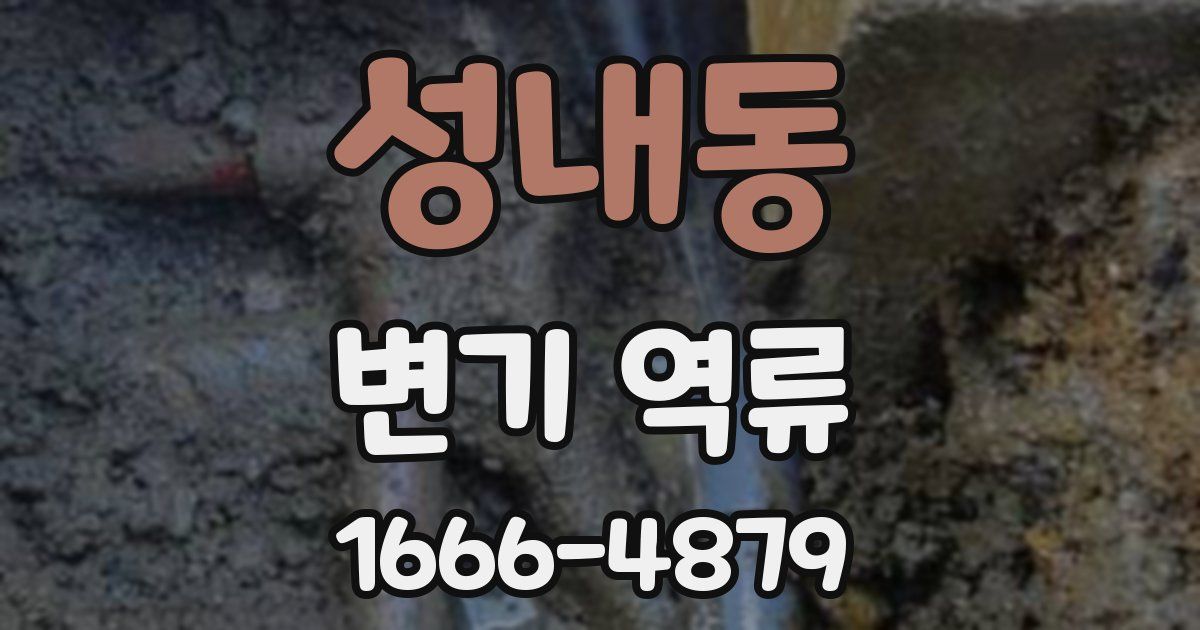 성내동 변기 역류
