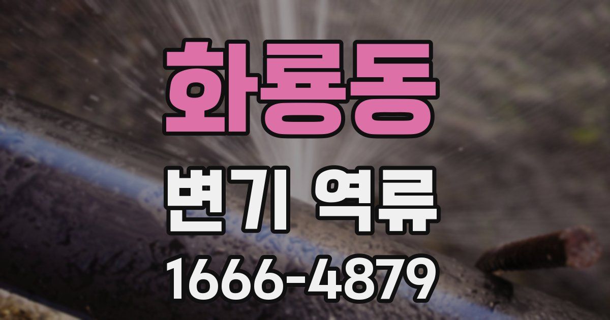 화룡동 변기 역류