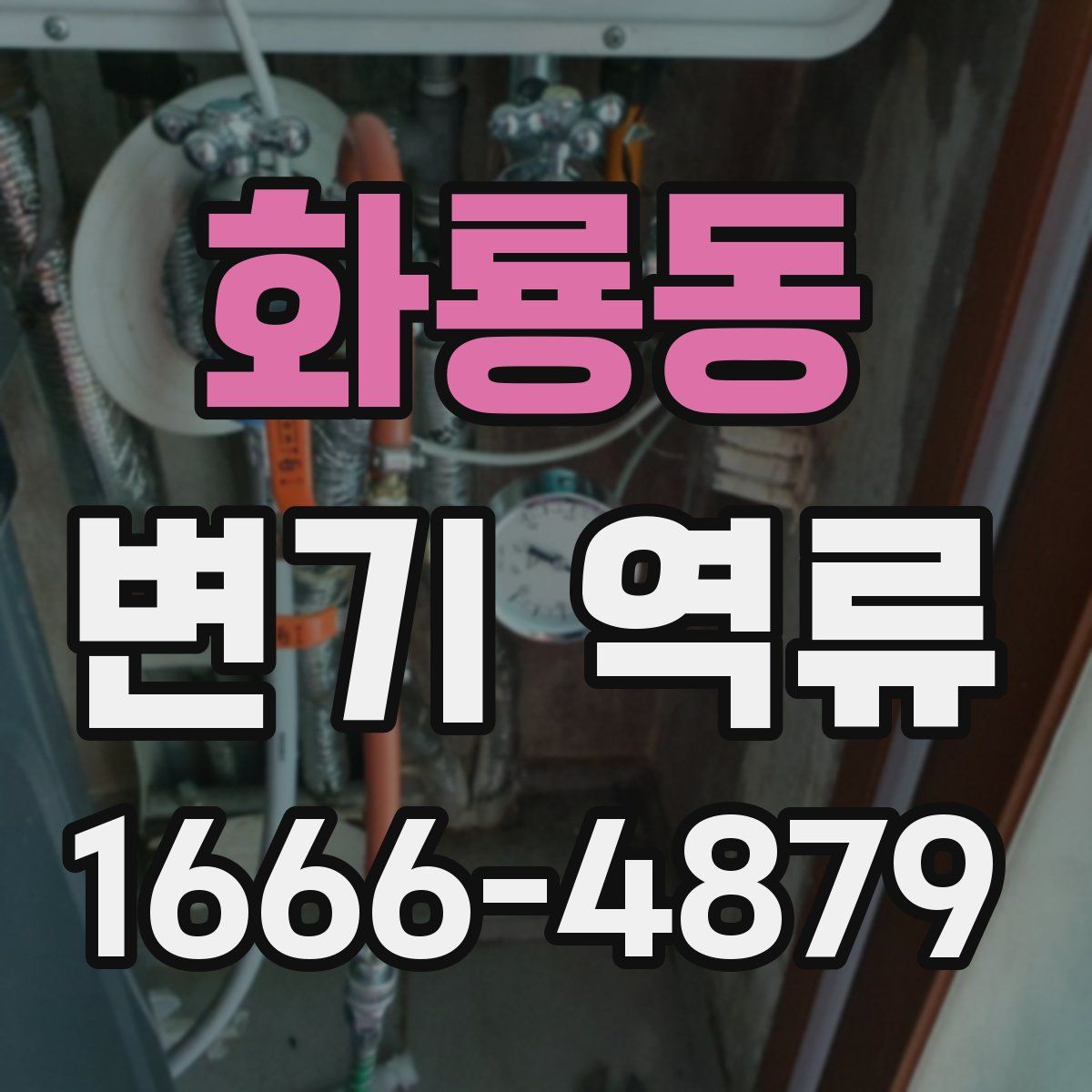 화룡동 변기 역류