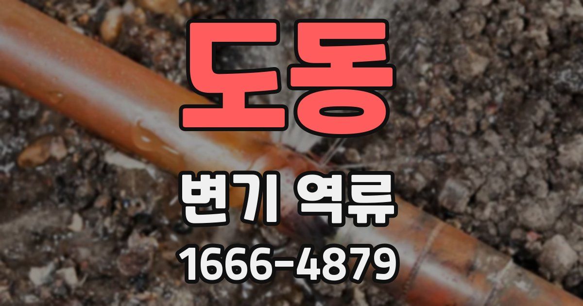 도동 변기 역류