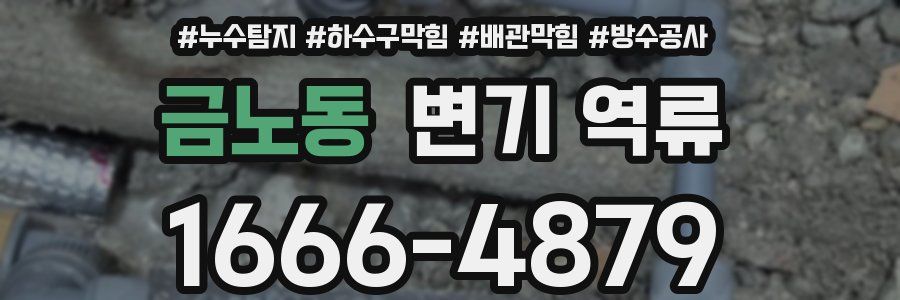 금노동 변기 역류
