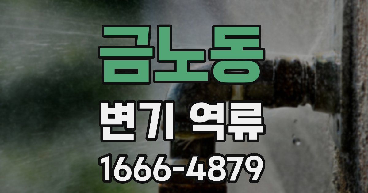 금노동 변기 역류