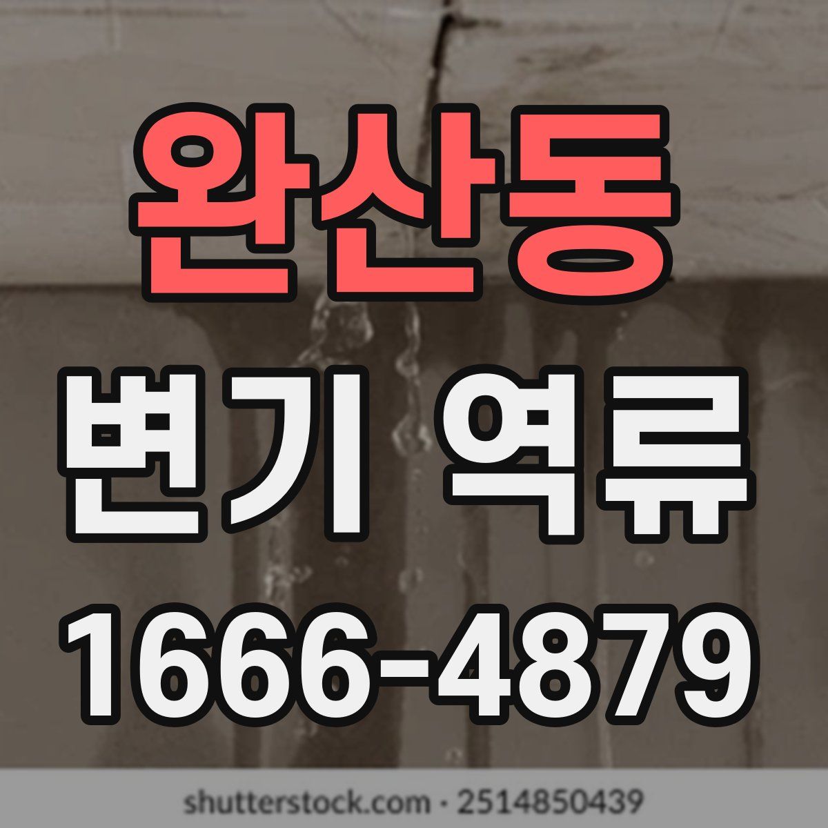 완산동 변기 역류