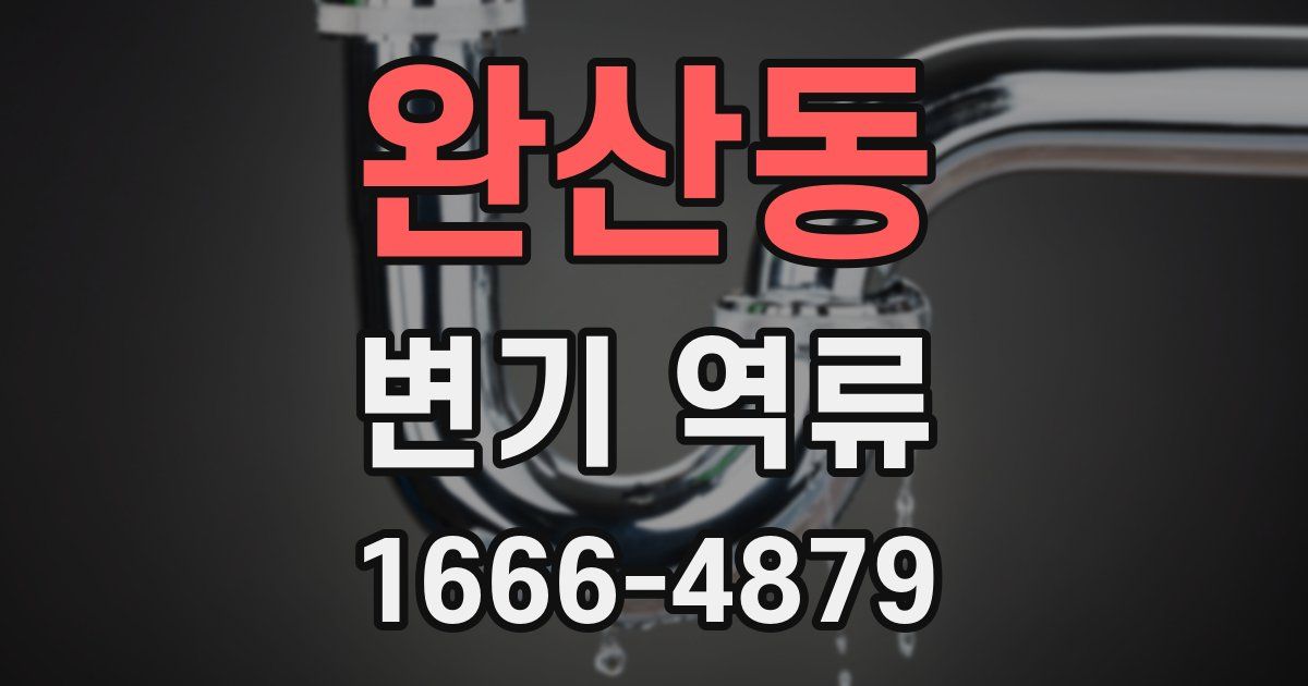 완산동 변기 역류