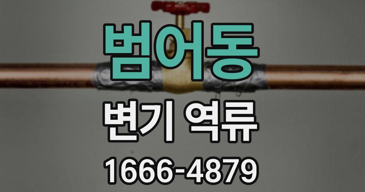 범어동 변기 역류