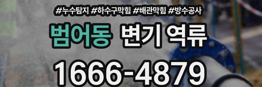 범어동 변기 역류