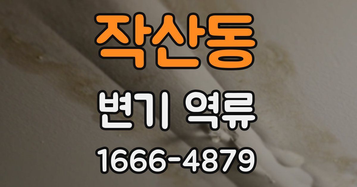 작산동 변기 역류