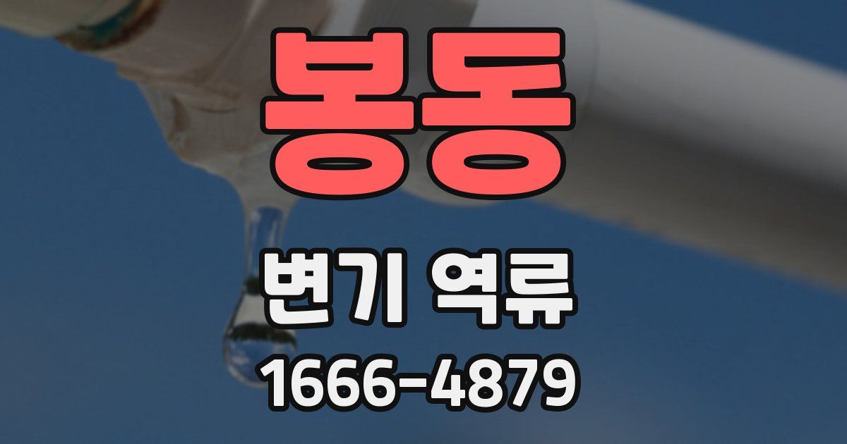 봉동 변기 역류