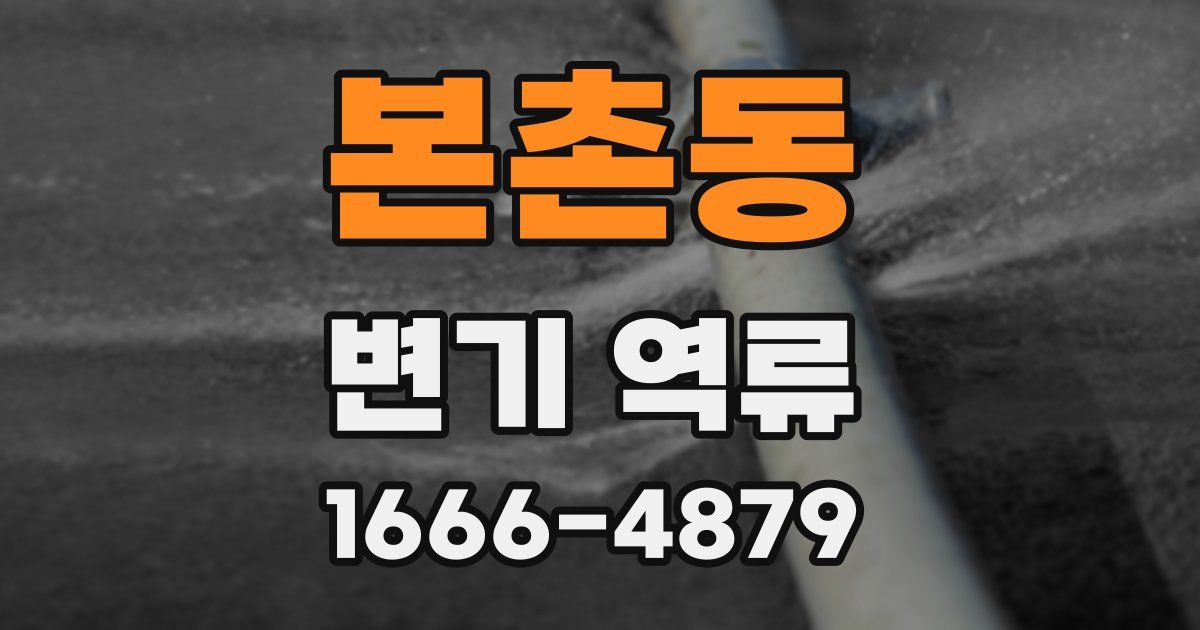 본촌동 변기 역류