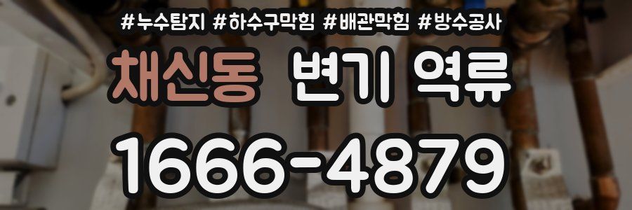 채신동 변기 역류