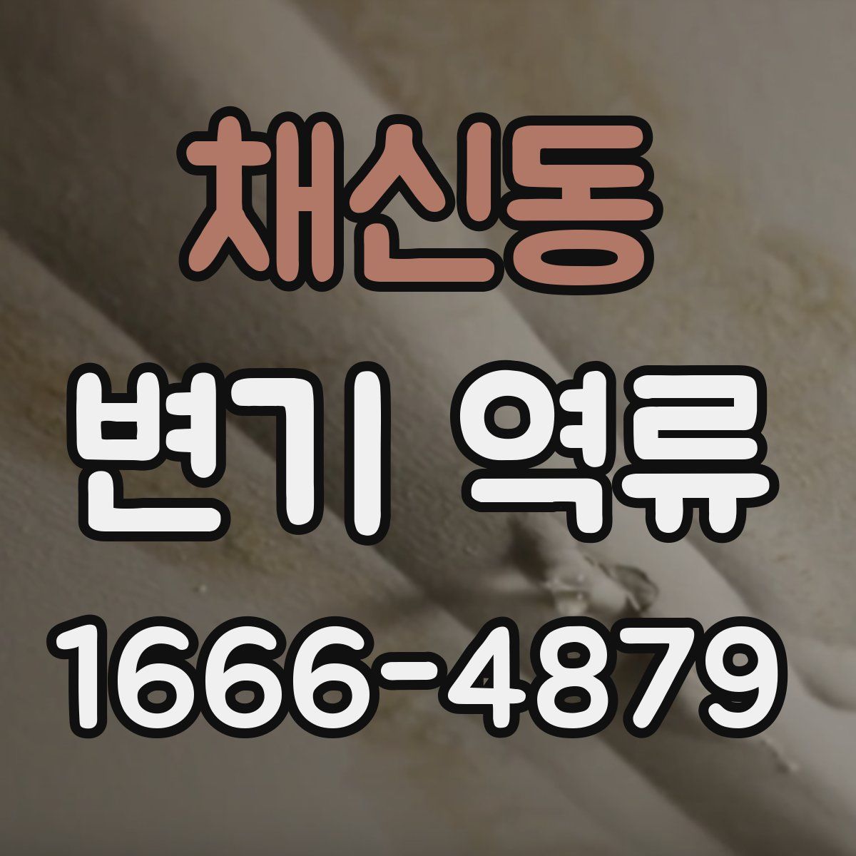 채신동 변기 역류