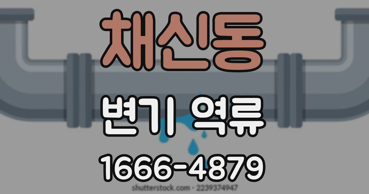 채신동 변기 역류
