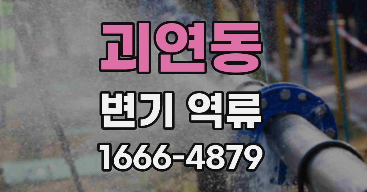 괴연동 변기 역류